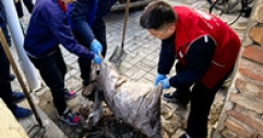 【市城市燃熱集團富泰熱力】巴彥、安裝分公司黨支部組織開展學(xué)雷鋒志愿服務(wù)活動